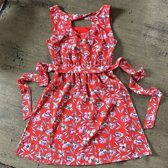 Gap Floral Print Cinch Waist Dress - Blaze - Picture 12 of 15